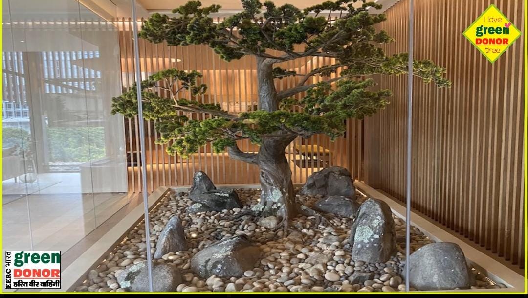 Artificial Tree Synthetic Tree – New Revolution of Environment. Green Donor Episode 70"