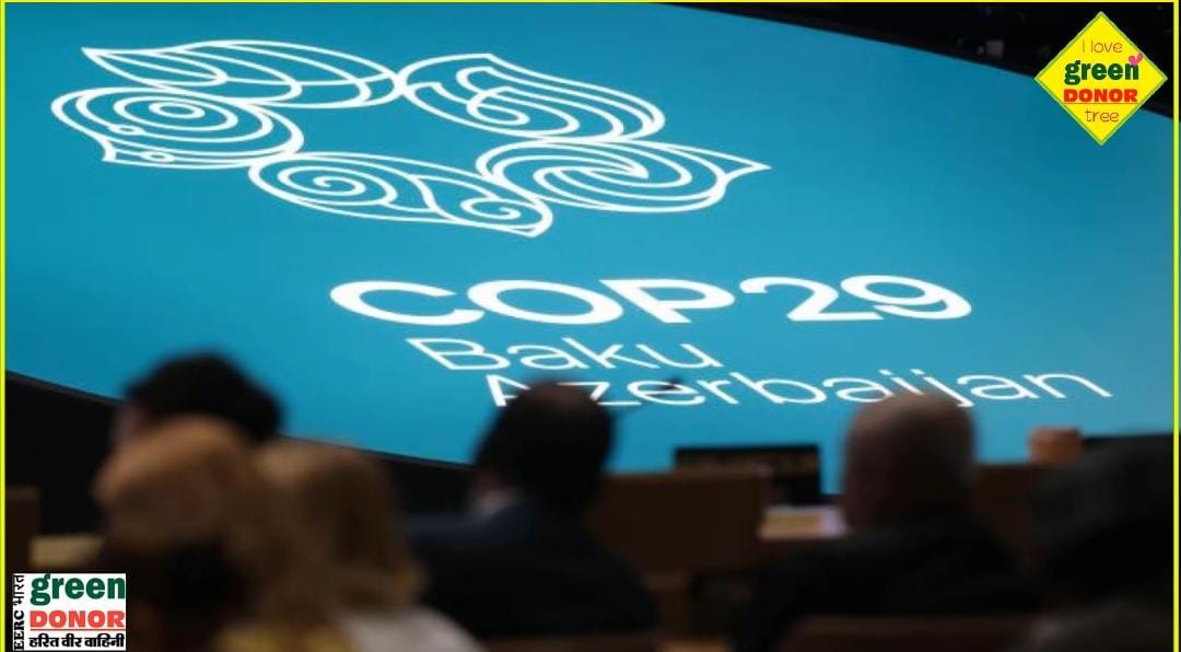 New market carbon market Carbon Bank COP29 historic decision Green Inspiration - Episode 103