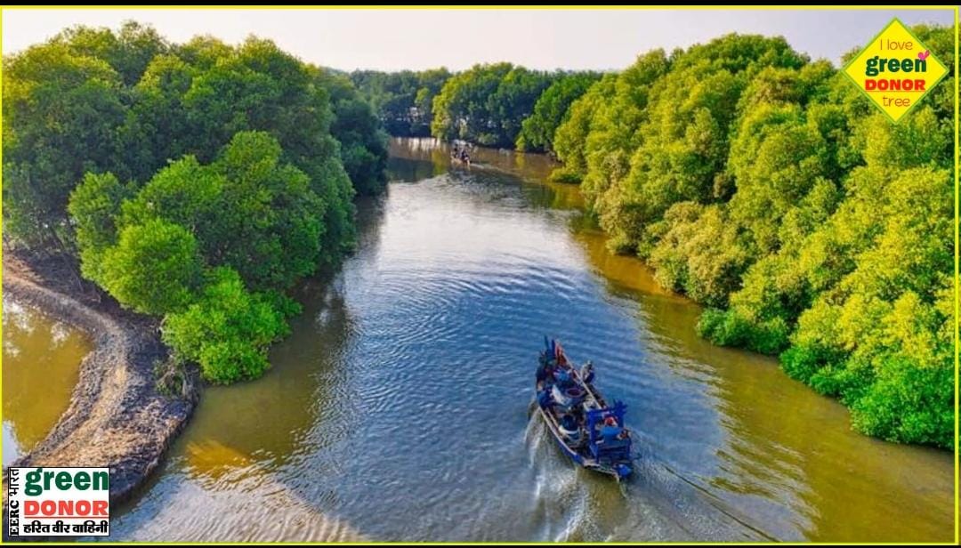 Magic of Mangrove Segment Jungle Saga Harit Prerana Episode-110