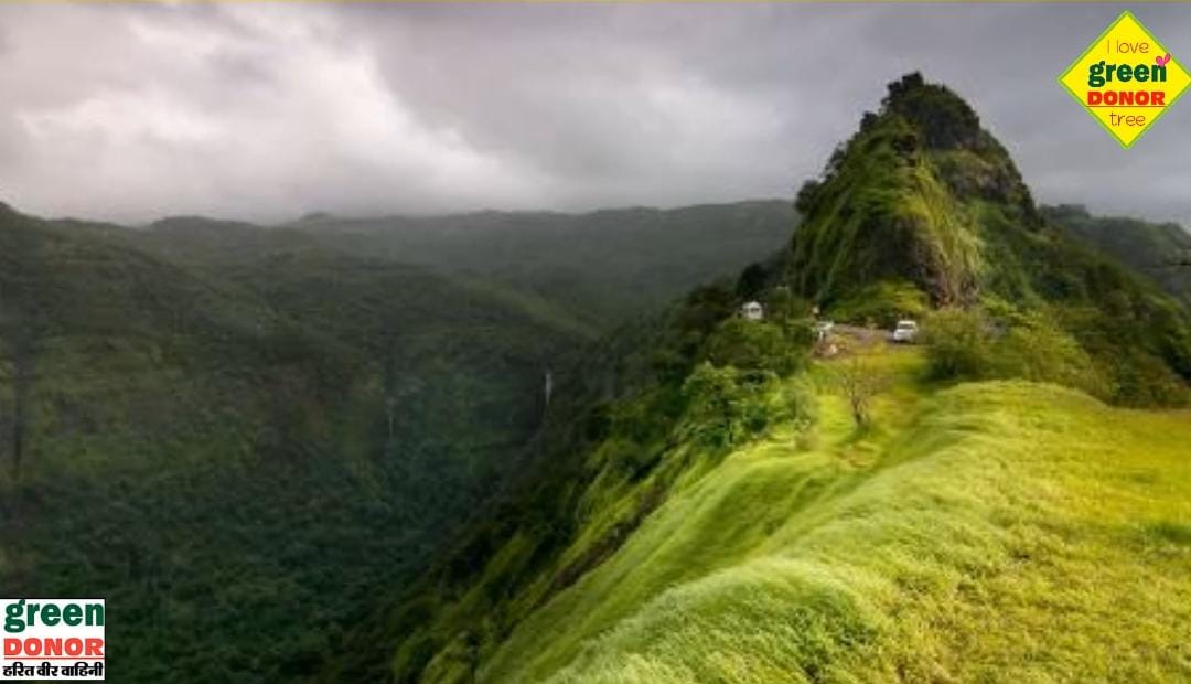 Western Ghats: A haven of biodiversity – Special report from Jungle Saga in Green Inspiration Episode 111