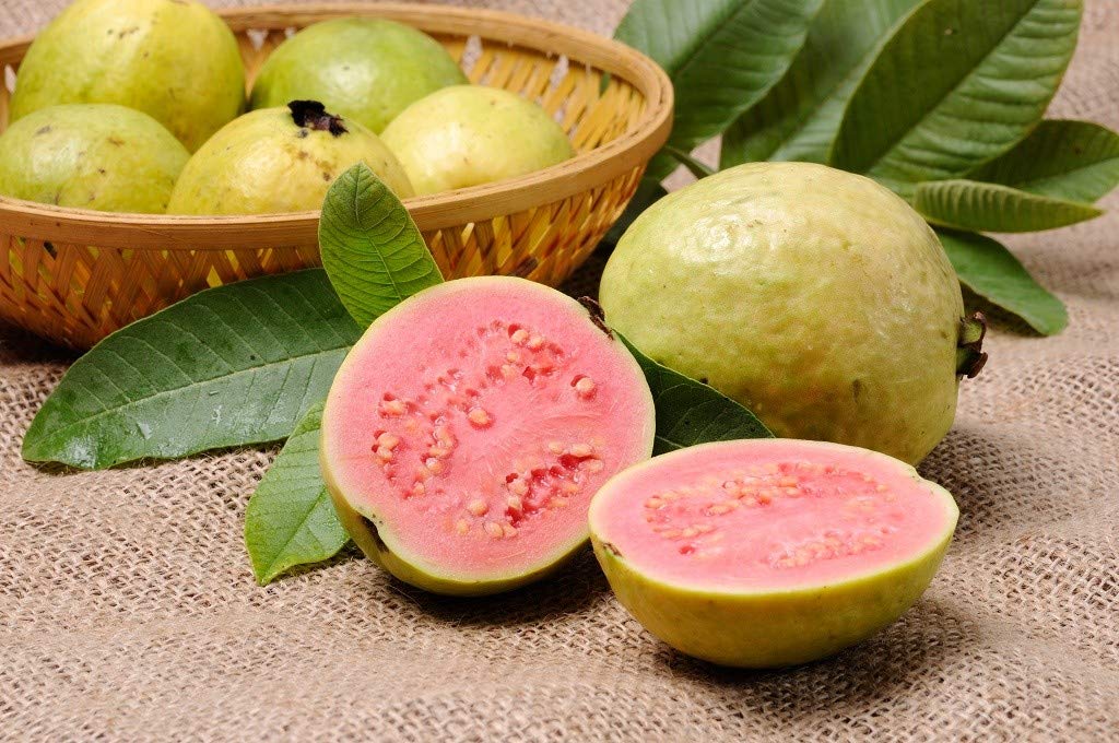 7 amazing benefits of guava leaves. Harit Prerana Episode 129