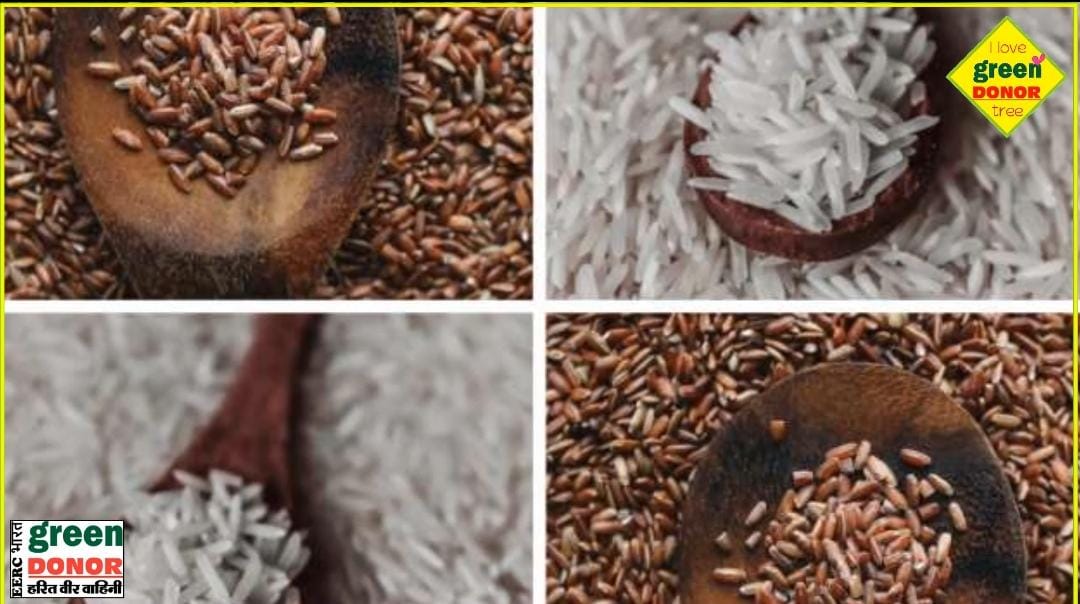 360 degree overview of rice as a food item. Green Inspiration - Episode 86"