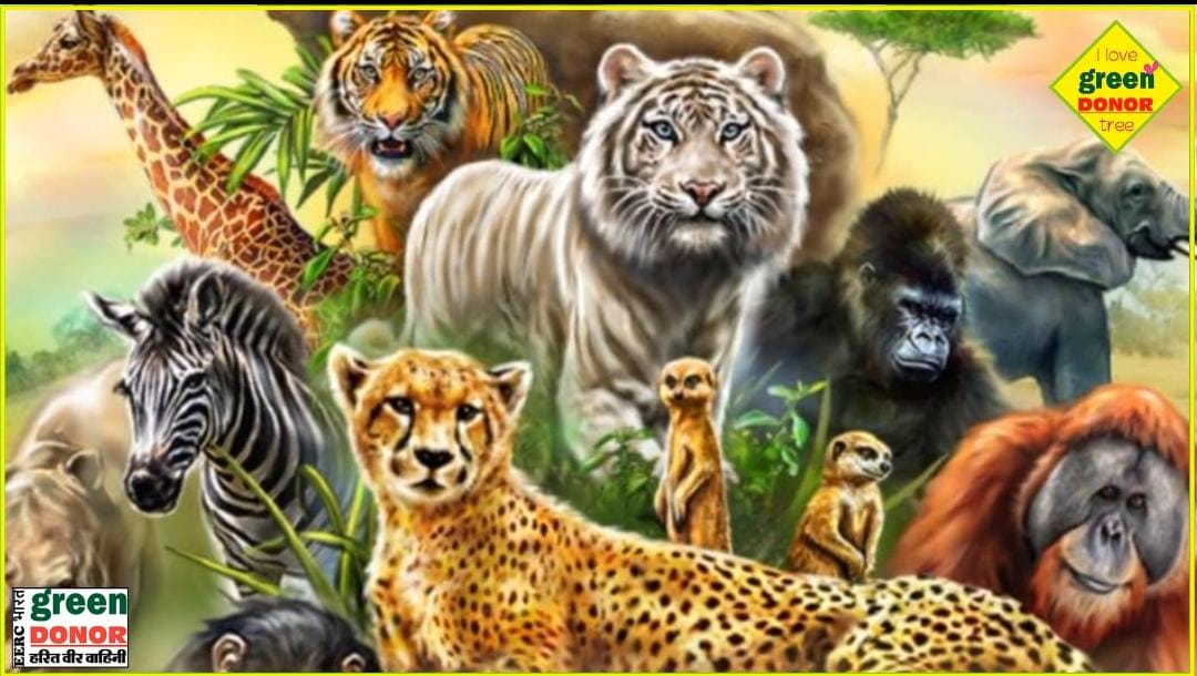 Call of the Earth: Reflections on the Nature Crisis. Earth's Call- Reflections on crises | Harit Prerna Episode 90