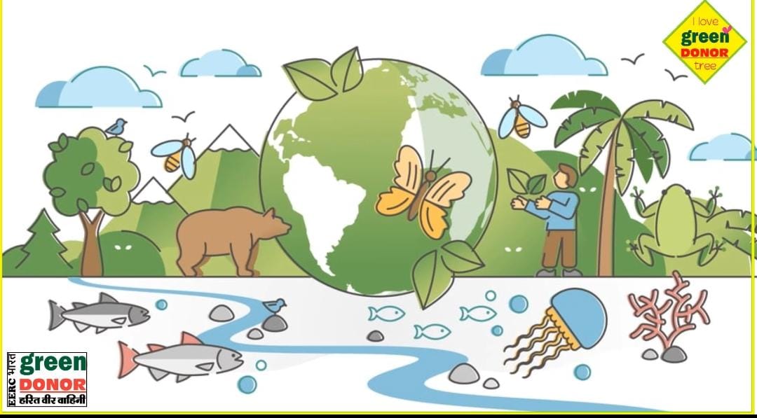 Ecology 360°: Harit Prerana Episode 95