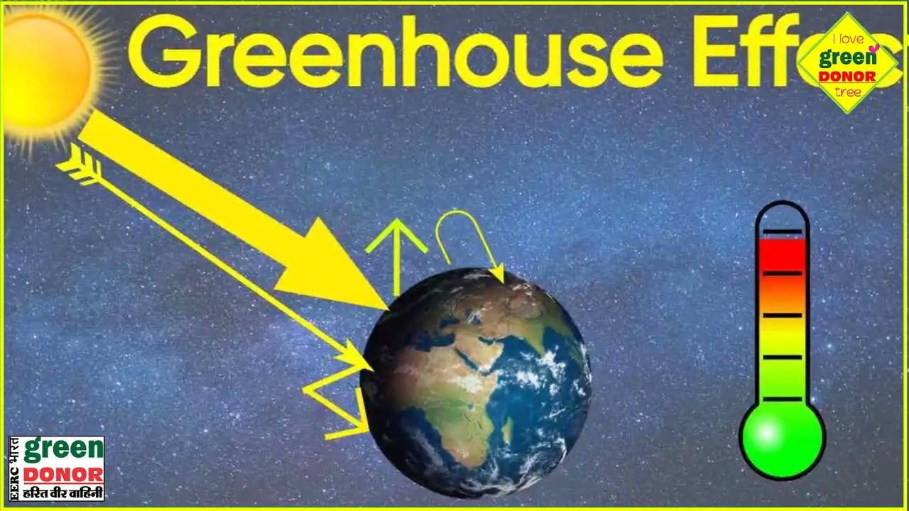 Greenhouse Effect – Effects on our environment and solutions