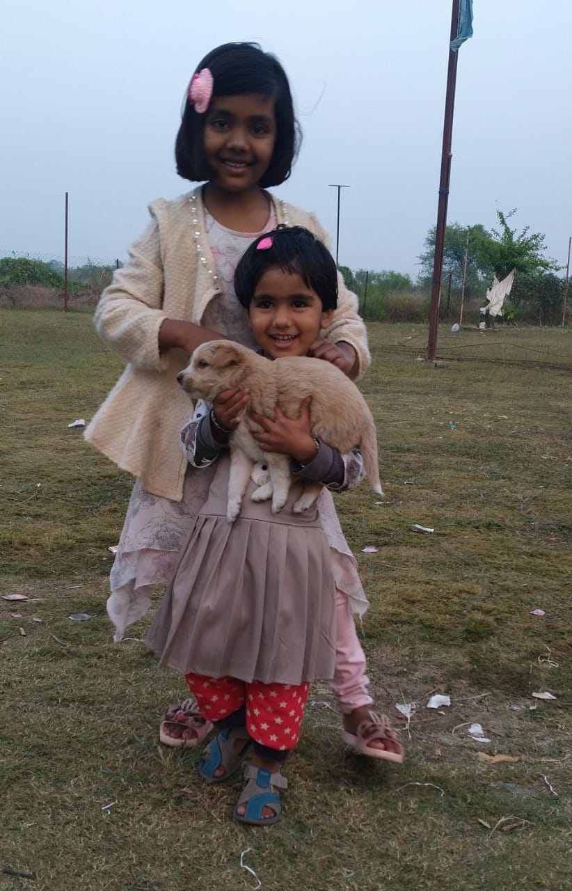 HARIT VEER GREEN DONOR CHAMP 6