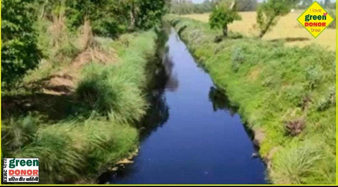 Dirty water will become the hero of greenery! See how the world is changing. Harit Prerana Episode: 133