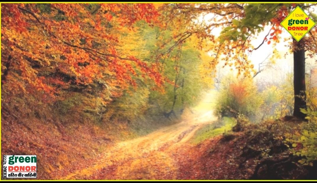 Green Revolution in Ghaziabad: Dream of Mini Jungle Harit Prerana Episode 134