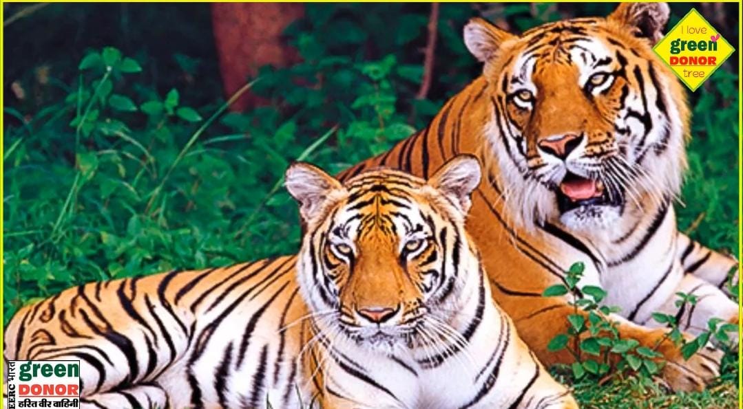 Tadoba: Home of tigers and a unique story of women empowerment Harit Prerana Episode 135