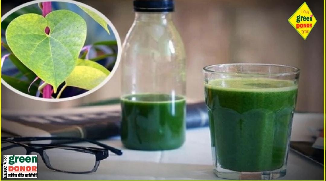 Giloy (Amrita) is a panacea for fever and immunity. Green Donor Harit Prerna Episode 187