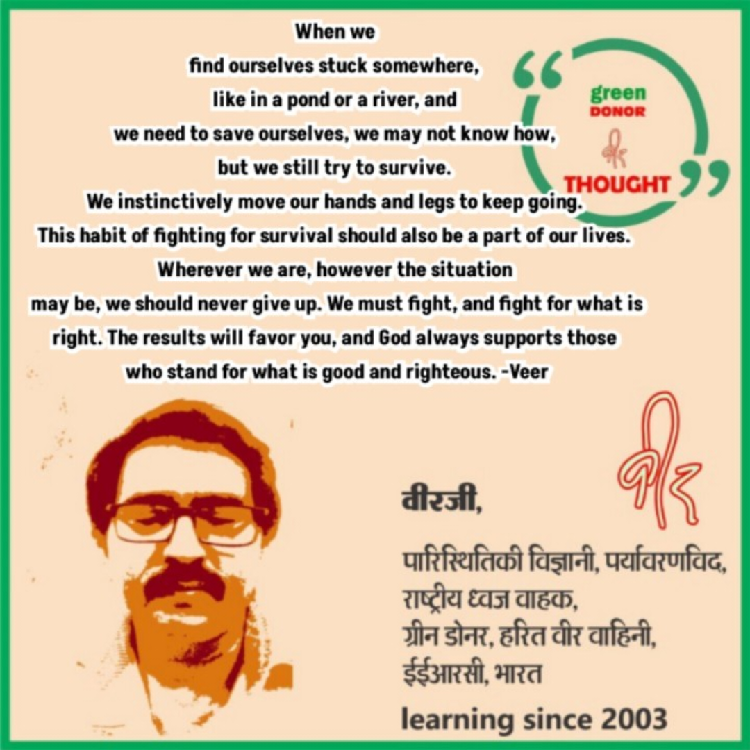 विचारों की नई उड़ान ग्रीन डोनर