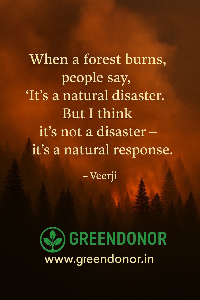 When a forest burns, people say, ‘It’s a natural disaster. But I think it’s not a disaster it’s a natural response. – Veerji